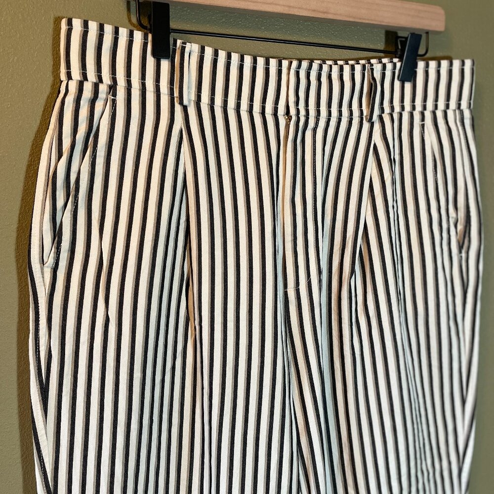 Tapered tencel and cotton pleated striped pant
